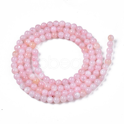 Natural Freshwater Shell Beads Strands BSHE-T009A-01C-1