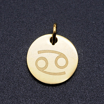 201 Stainless Steel Charms STAS-T049-T644-4G-1
