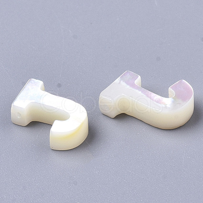 Natural Sea Shell Beads X-SHEL-T012-60J-1