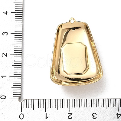 304 Stainless Steel Rhinestone Pendants STAS-P453-01G-02-1