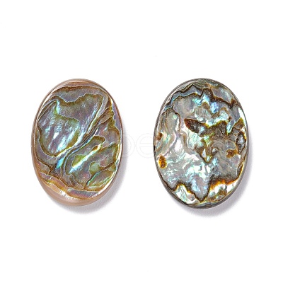 Sea Shell Penndants SSHEL-C008-15-1