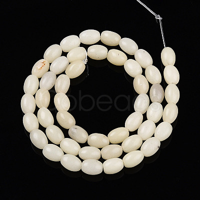 Natural White African Opal Beads Strands G-N346-02B-10-1