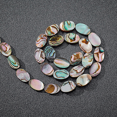 Natural Abalone Shell/Paua Shell Beads SSHEL-BC0001-08-1