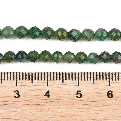 Natural Fuchsite Beads Strands G-RM250101-C33-1