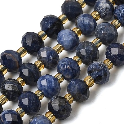 Natural Sodalite Beads Strands G-D105-B09-01-1