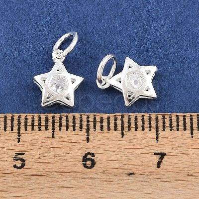 925 Sterling Silver Pave Clear Cubic Zirconia Charms STER-A049-08C-S-1