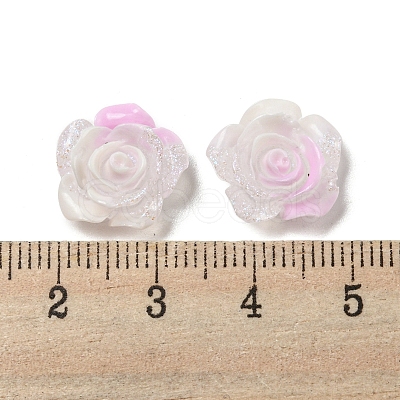 Luminous Transparent Resin Decoden Cabochons RESI-D013-06E-1