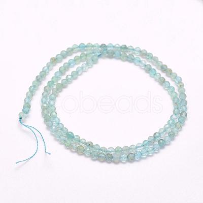 Natural Apatite Beads Strands G-I156-05-3mm-1