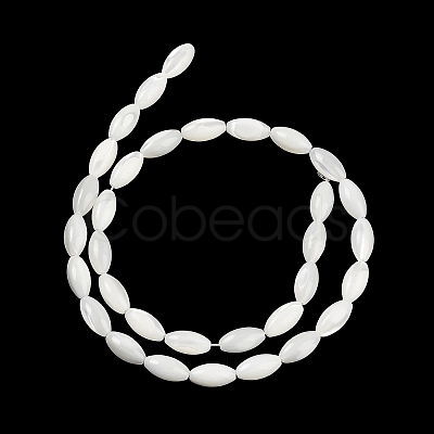 Natural Trochus Shell Beads Strands BSHE-G036-06B-1