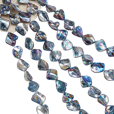 5 Strands Freshwater Shell Beads Strands SHEL-NB0001-58-1