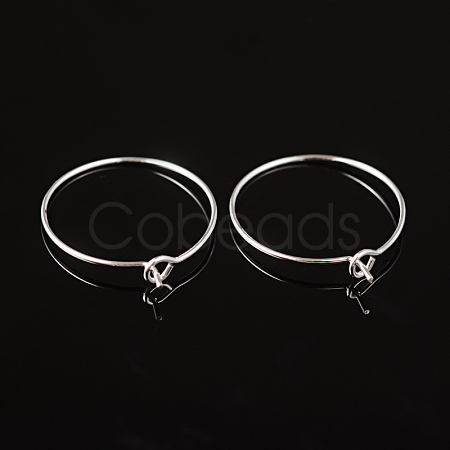 Silver Color Plated Brass Earring Hoops X-EC067-1S-1