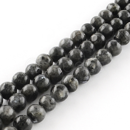 Natural Larvikite Round Beads Strands G-R342-6mm-09-1