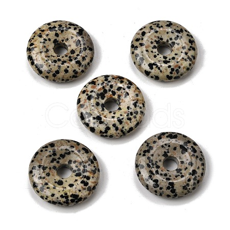Natural Dalmatian Jasper Pendants G-F820-13A-14-1