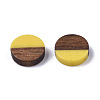 Resin & Wood Cabochons RESI-S358-70-H34-2