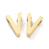 Ion Plating(IP) 304 Stainless Steel Charms STAS-K216-41V-G-1