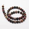 Natural Polychrome Jasper/Picasso Stone/Picasso Jasper Frosted Bead Strands G-O155-03B-6mm-2