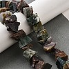 Natural Indian Agate Beads Strands G-I283-F20-1