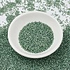 MIYUKI Delica Beads SEED-X0054-DB2190-2
