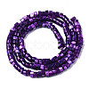 Natural Trochus Shell Beads Strands SHEL-S278-027-3