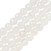 Natural Quartz Crystal Beads Strands X-G-E571-A11-01-1