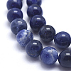 Natural Sodalite Beads Strands G-K224-01-8mm-3