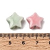 Handmade Porcelain Beads PR-CBAD492-01-3
