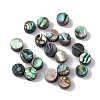 Natural Abalone Shell/Paua Shell Beads SSHEL-M021-02-1