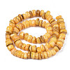 Natural Trochid Shell/Trochus Shell Beads Strands SHEL-S258-081-B11-2