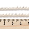 Natural Cultured Freshwater Pearl Beads Strands PEAR-P062-03C-5