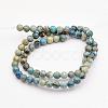 Natural Variscite Bead Strands G-P300-01-6mm-2