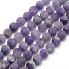 Frosted Natural Amethyst Round Bead Strands G-M064-10mm-13-1