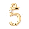 Brass Micro Pave Cubic Zirconia Charms KK-P340-24G-05-1