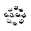 Natural Black Lip Shell Beads SSHEL-N003-147A-3