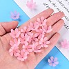 Transparent Acrylic Beads MACR-S373-47-D08-6