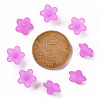 Transparent Acrylic Beads X-PL554-17-4