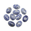 Natural Blue Spot Jasper Cabochons G-R415-13x18-45-1