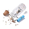 Glass Wishing Bottle Pendant Decorations GLAA-S181-02-4
