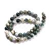 Natural Tree Agate Beads Strands G-I199-03-8mm-3