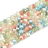 Electroplate Glass Beads Strands GLAA-T023-A16-07-1