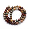 Natural Polychrome Jasper/Picasso Stone/Picasso Jasper Round Bead Strands G-J303-16-4mm-2