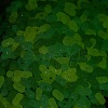 Luminous Transparent Acrylic Beads LACR-D009-01G-3