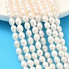 Natural Cultured Freshwater Pearl Beads Strands PEAR-D003-01D-15-1