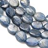 Natural Kyanite Beads Strands G-H335-D01-8x10mm-4