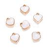 Heart Alloy Enamel Charms X-ENAM-Q033-51B-1