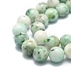 Natural Chrysocolla Beads Strands G-E576-04A-3