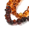 Gradient Color Natural Amber Beads Strands G-K387-F01-01-3