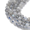 Natural Labradorite Beads Strands G-L651-C11-4mm-4