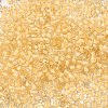12/0 Transparent Glass Seed Beads SEED-F003-03C-14-3