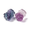 Natural Fluorite Beads G-P483-10-3