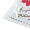 Pressed Dried Flowers DIY-F076-01D-3
